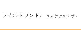 ワイルドランド　ルーフテント